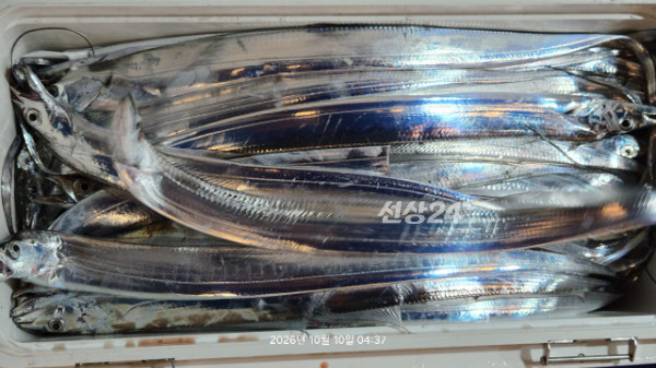 1004피싱_사진_20261010_3.jpg