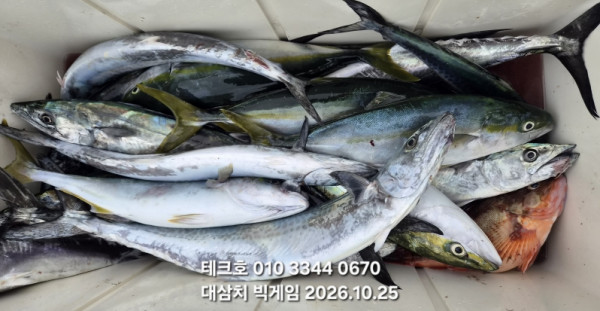 KakaoTalk_20261025_172206683_12.jpg