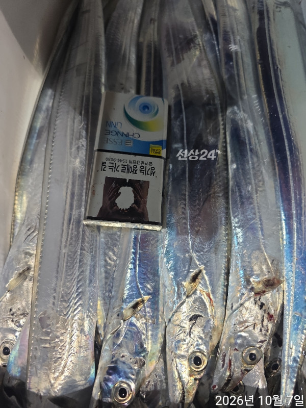 1000403098.jpg