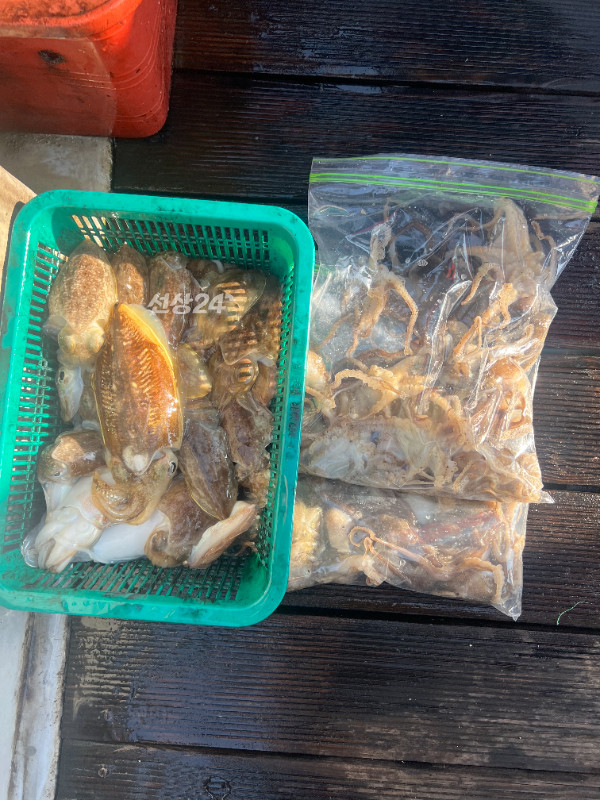 KakaoTalk_20261016_174231077_12.jpg