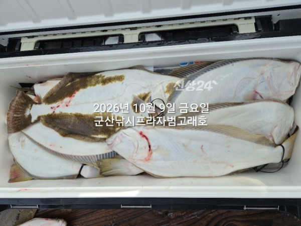 KakaoTalk_20261009_163031675_02.jpg