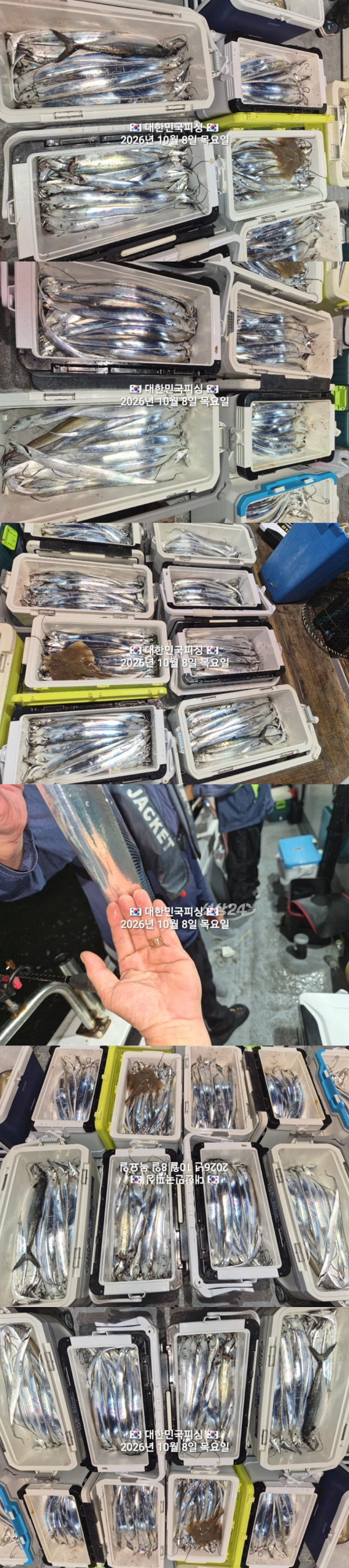 갈치2.jpg
