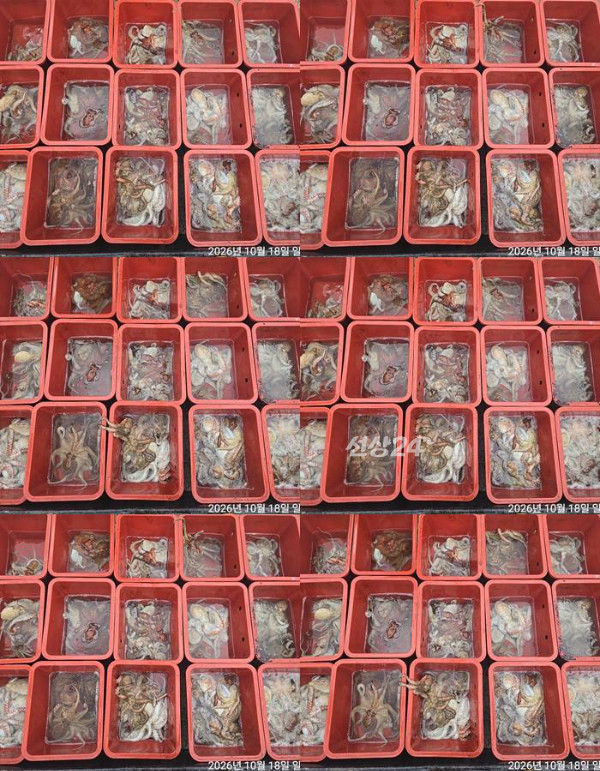 1792311235147-tile.jpg