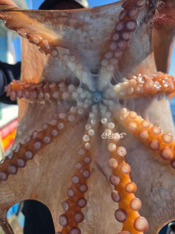 DA252819-C006-4093-8B79-F0D3B003892A.jpeg
