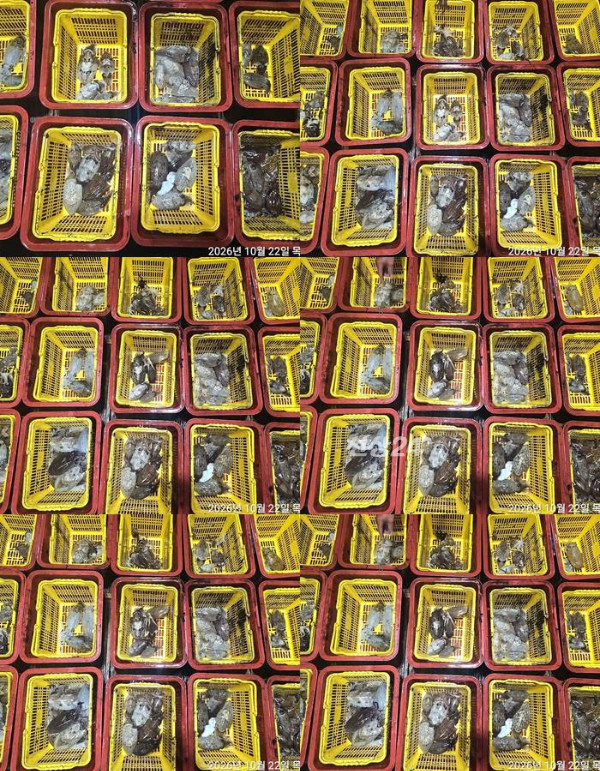 1792707407172-tile.jpg