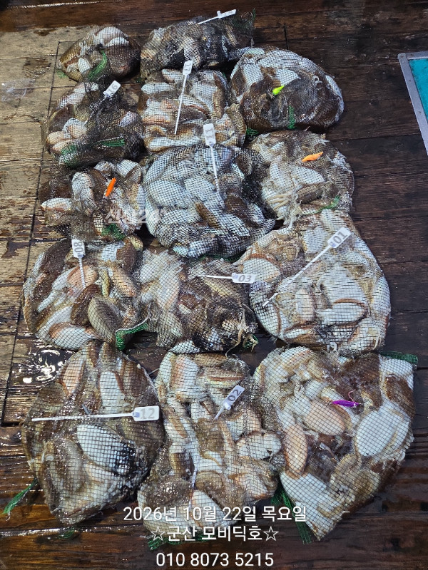 1000018106.jpg