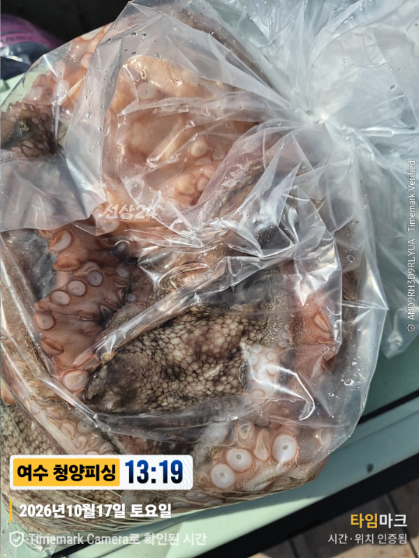 20261017_131927_제목-여수 청양피싱.jpg