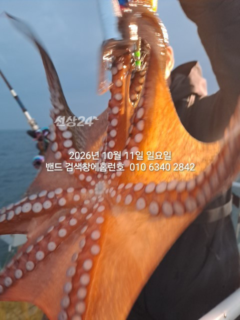 1000027575.jpg