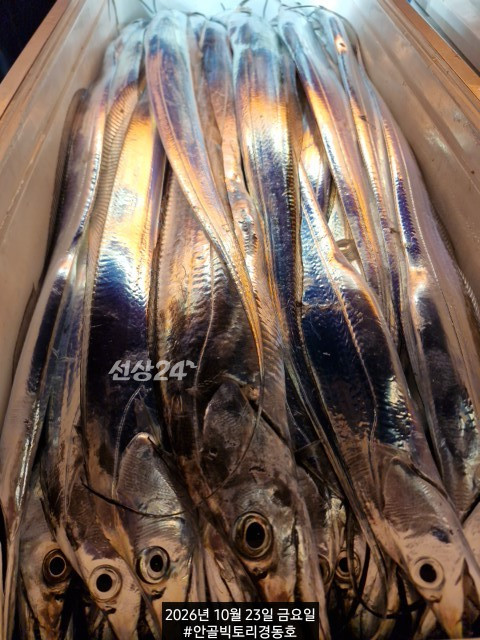1792703187100.jpg