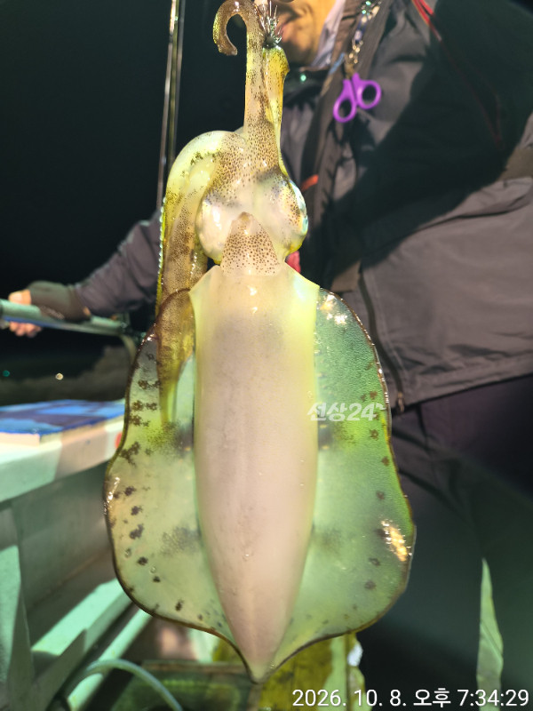 44855.jpg