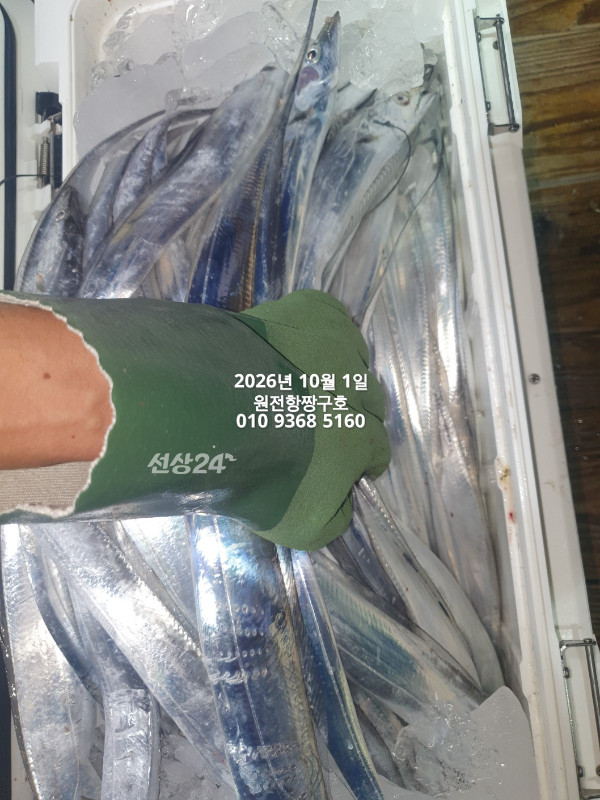 KakaoTalk_20261001_132603487_07.jpg