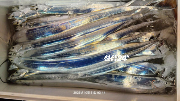 1004피싱_사진_20261031_6.jpg