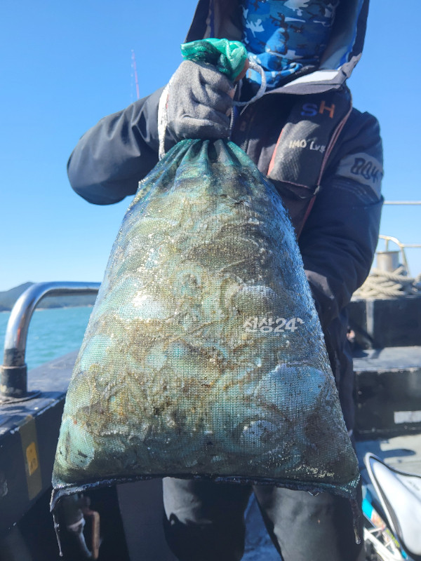 19250.jpg