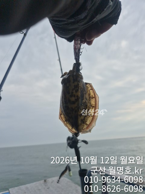 19013.jpg