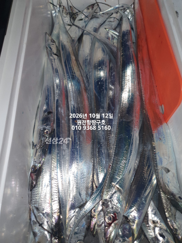 KakaoTalk_20261012_134836822_07.jpg