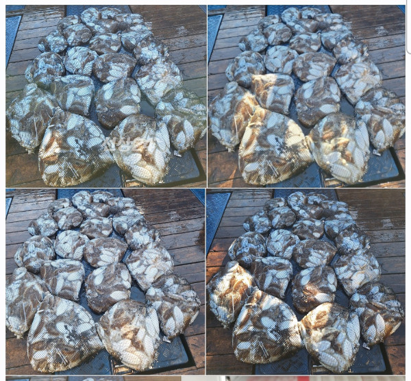 1000082343.jpg
