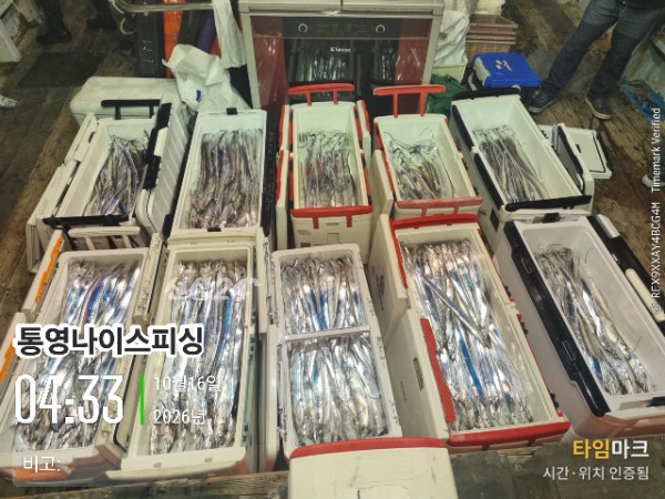 20261016_043357_글꼴-통영나이스피싱.jpg