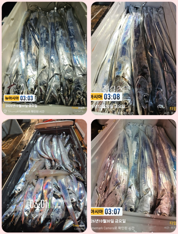 KakaoTalk_20261030_055807059-tile.jpg