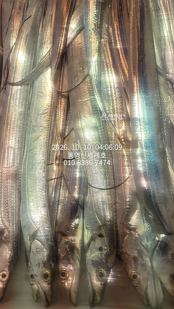 1791611604292.jpg