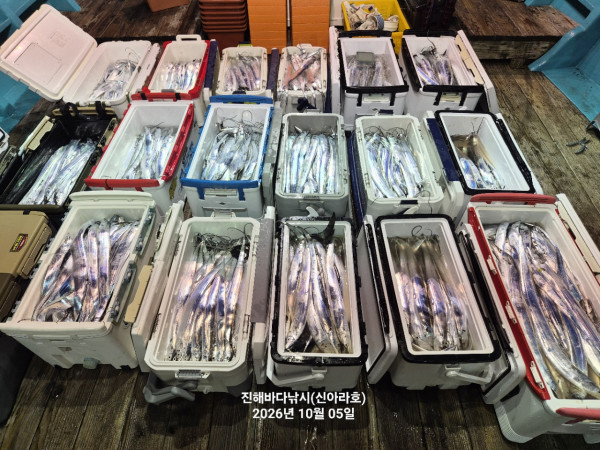 신아라호 한치 칼치 오징어_사진_20261005_5.jpg