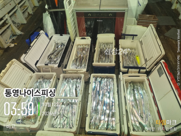 20261012_035920_글꼴-통영나이스피싱.jpg