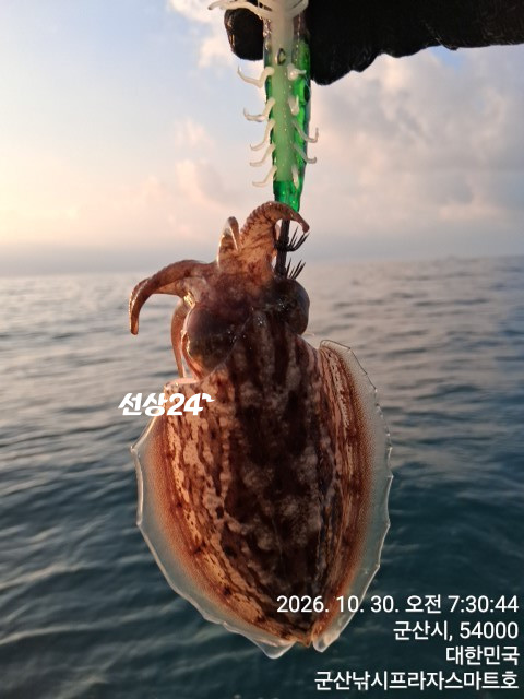 KakaoTalk_20261030_082442401_06.jpg