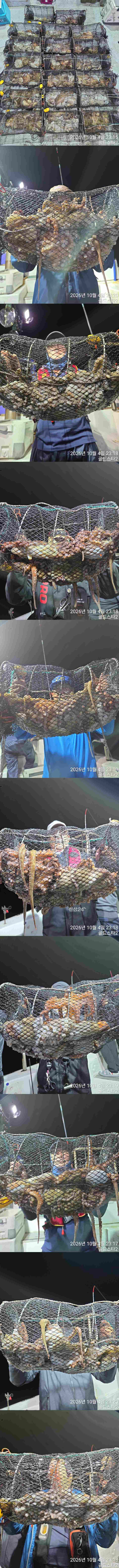 [포맷변환]x.jpg