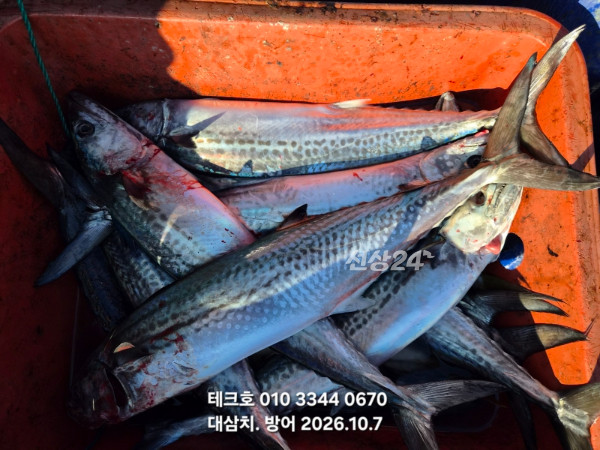 KakaoTalk_20261007_083423175_01.jpg