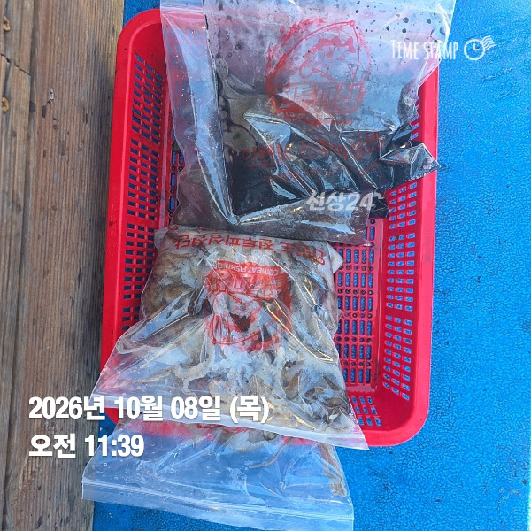 KakaoTalk_20261008_195803568_07.jpg
