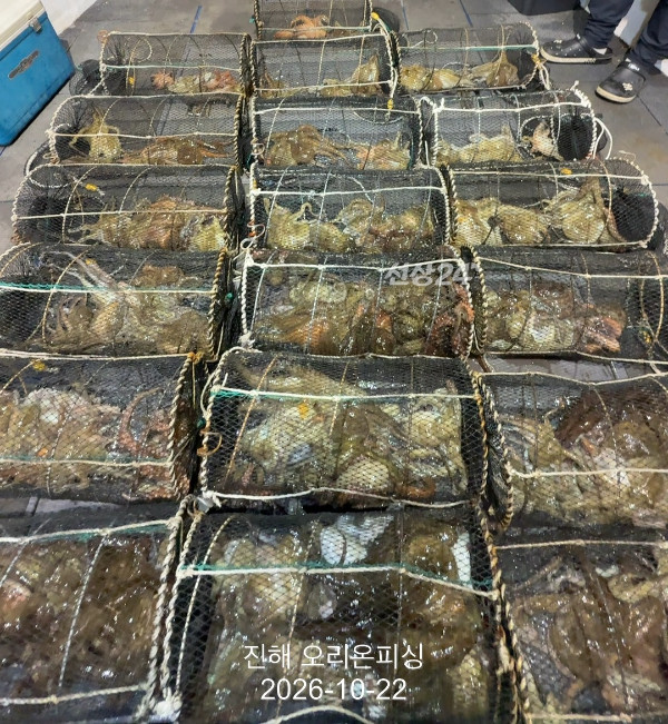 KakaoTalk_20261022_030244704.jpg