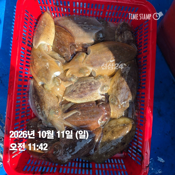 KakaoTalk_20261011_172621376_03.jpg