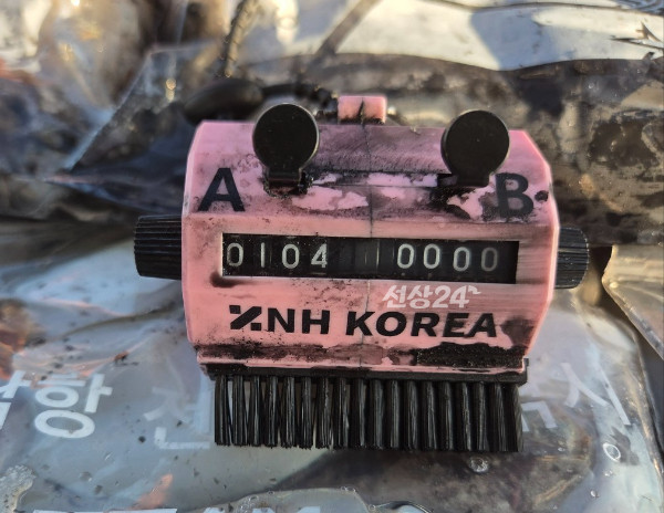 24592.jpg
