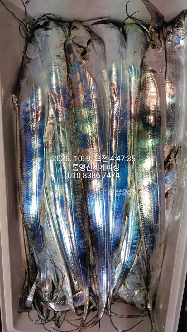 1791494464377.jpg