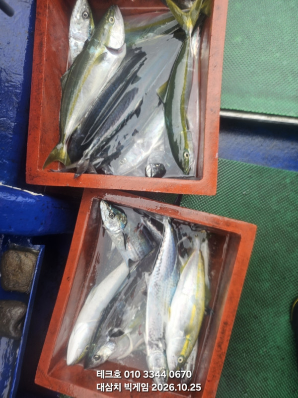 KakaoTalk_20261025_172206683_17.jpg