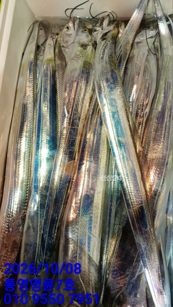 KakaoTalk_20261008_055317393_18.jpg