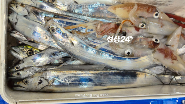 1004피싱_사진_20261030_9.jpg