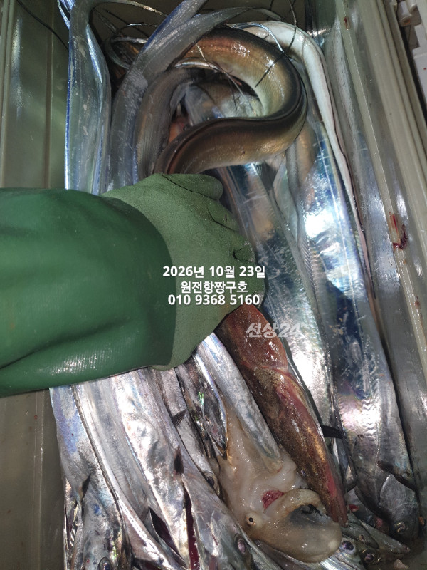KakaoTalk_20261023_034636163_02.jpg