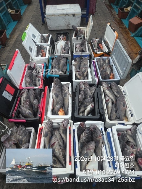 KakaoTalk_20261023_145033974.jpg