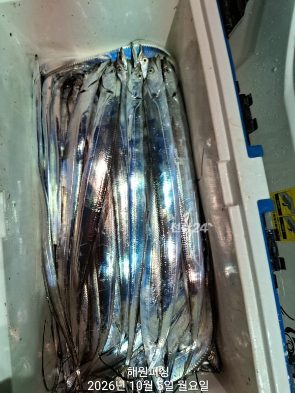 1000037190.jpg