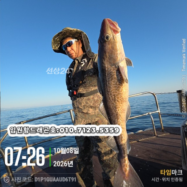 4117.jpg