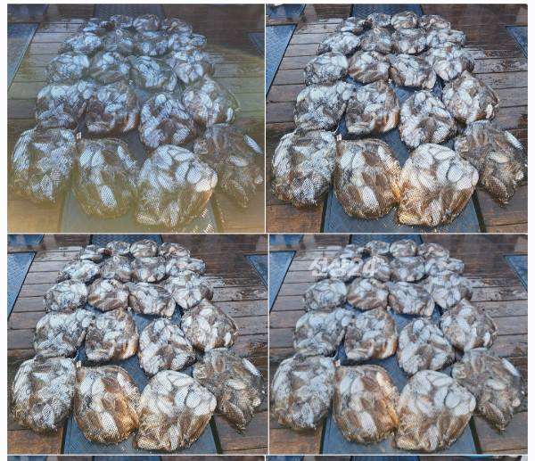 1000083864.jpg
