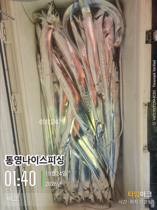 20261024_014006_글꼴-통영나이스피싱.jpg
