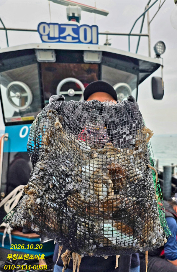 81684.jpg