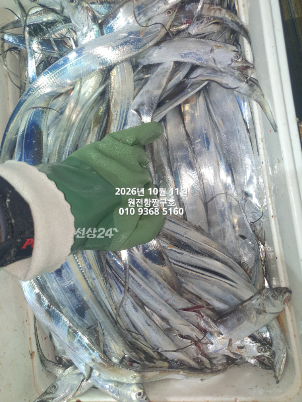 KakaoTalk_20261011_043835408_08.jpg