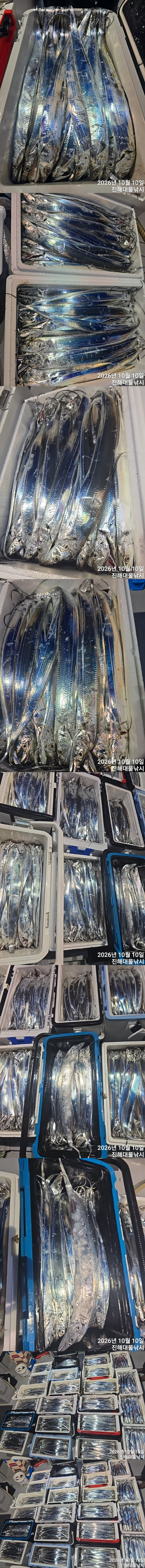 칼치4.jpg