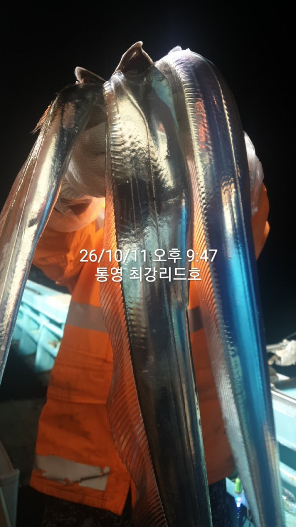 KakaoTalk_20261014_100554675_02.jpg