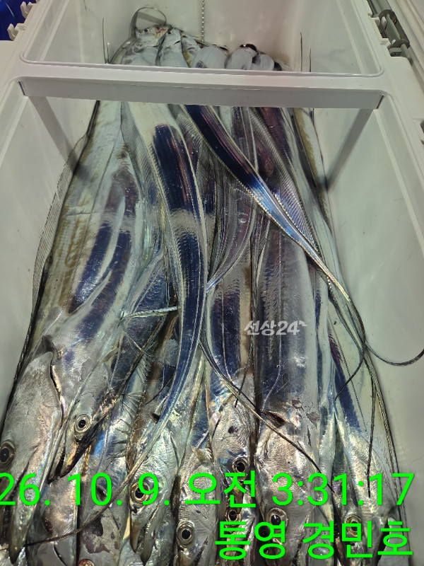 1791496290683.jpg