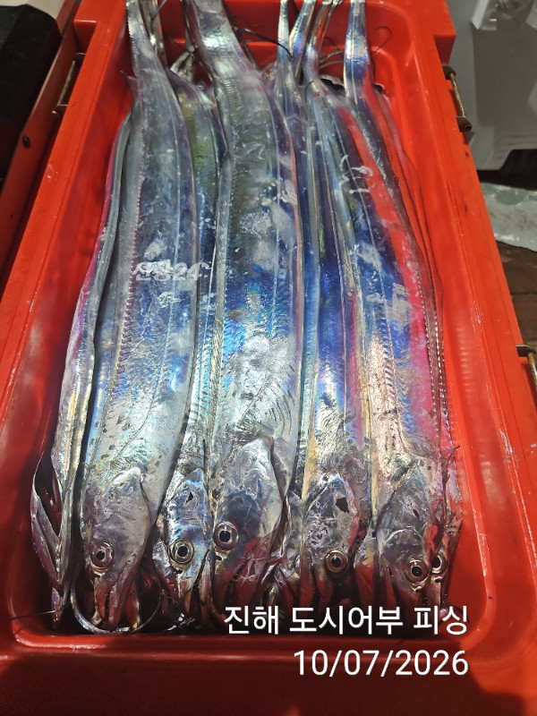KakaoTalk_20261007_050419897_16.jpg