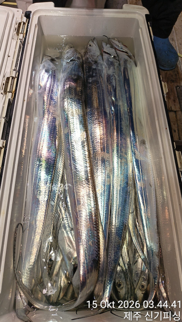 KakaoTalk_20261015_150833366_01.jpg