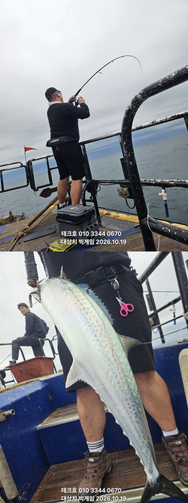 KakaoTalk_20261019_170931659_10-vert.jpg